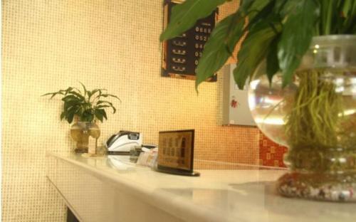 Шиянь: Wudangshan Tianbao Jiuru Hotel