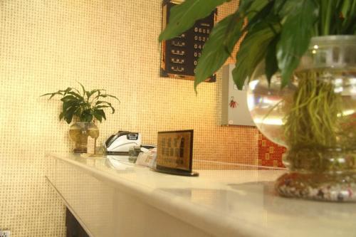 Шиянь: Wudangshan Tianbao Jiuru Hotel