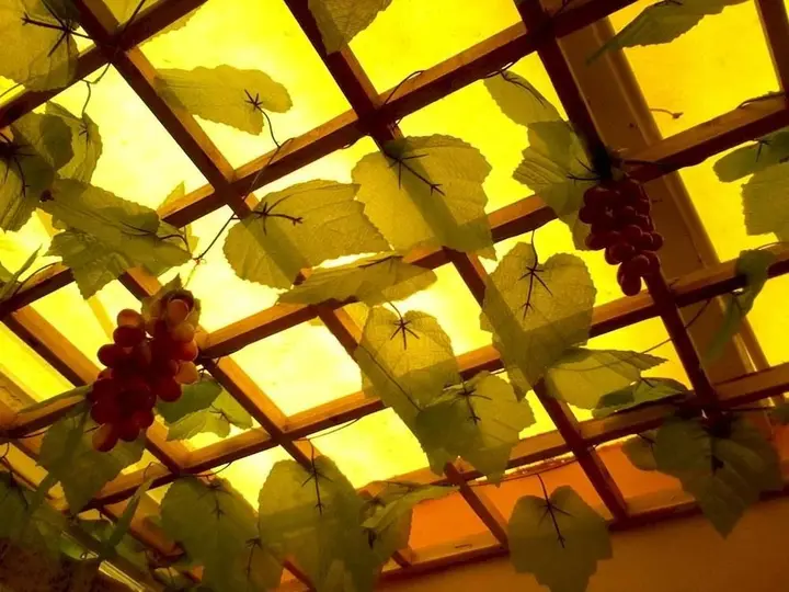Сямынь: Xiamen Bloom Pinellia Holiday Home