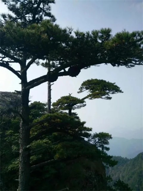 Xuancheng: Xuancheng Jixi Enji Inn