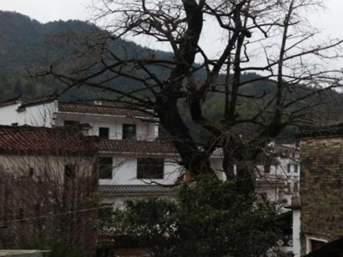 Шанграо: Qingyuan Yinxing Farm Stay