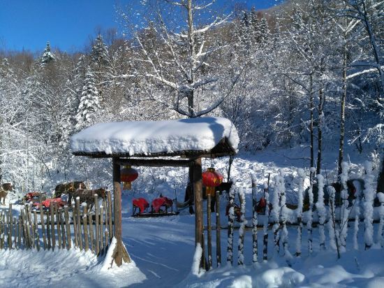 Харбин: Xuegu Liudongsheng Donkey Youyi Station