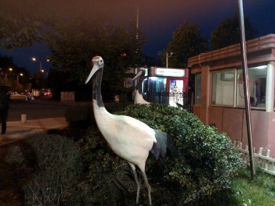 Red Crowned Crane Hotel — фото 4