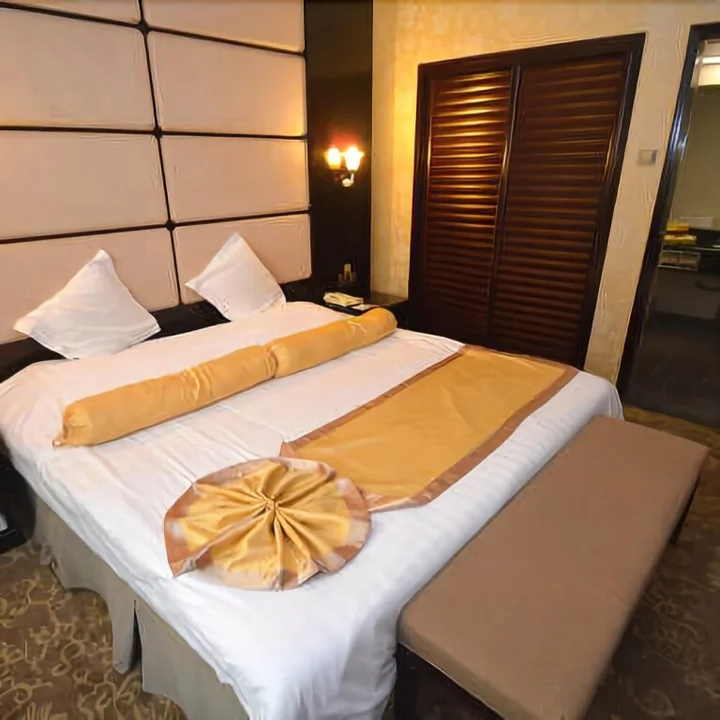 Чжэнчжоу: Songyang Hotel