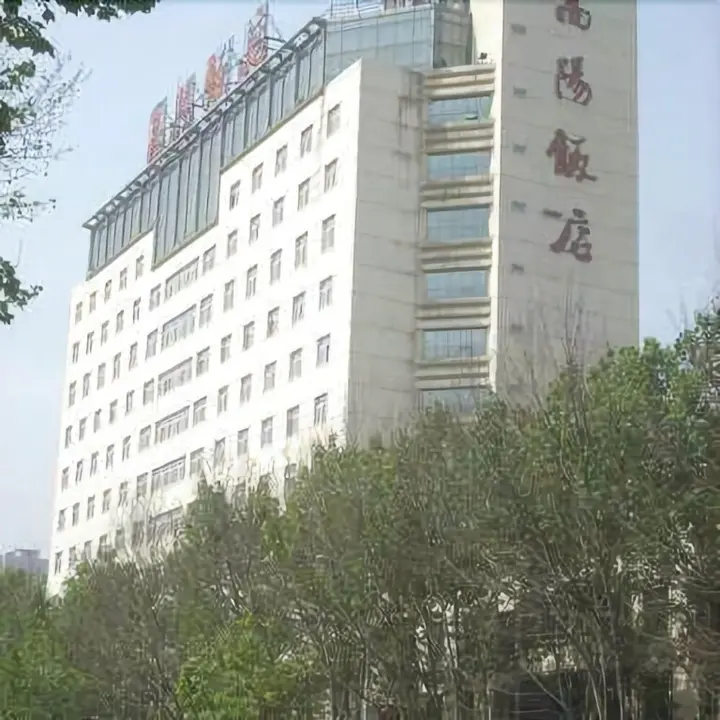 Чжэнчжоу: Songyang Hotel