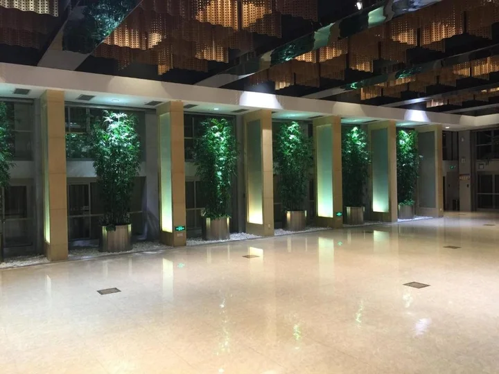 Ухань: Wuzhan Business Hotel