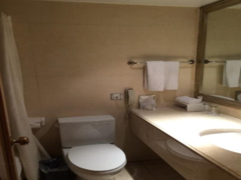 Чжэнчжоу: The Great Wall Hotel