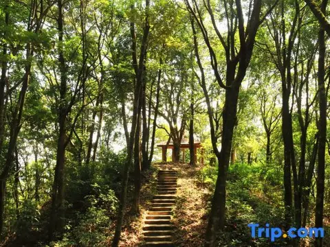 Шаогуань: Xinfeng Utop Spring Primeval Forest Resorts