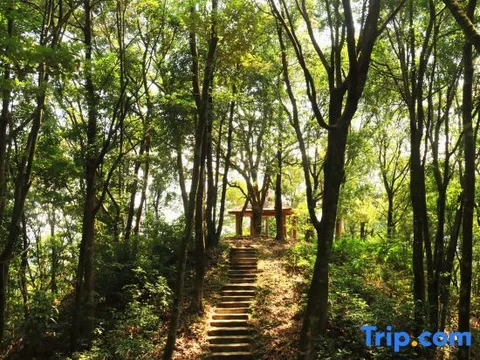 Шаогуань: Xinfeng Utop Spring Primeval Forest Resorts