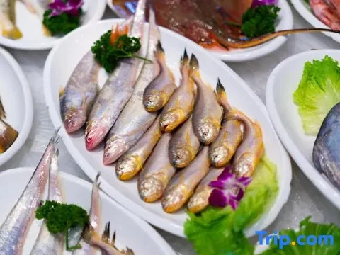 Чжоушань: Shimao Hotel