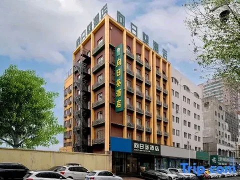 Харбин: Sunflower Fashion Express Hotel