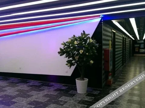 Люян: Youlemei Theme Hotel