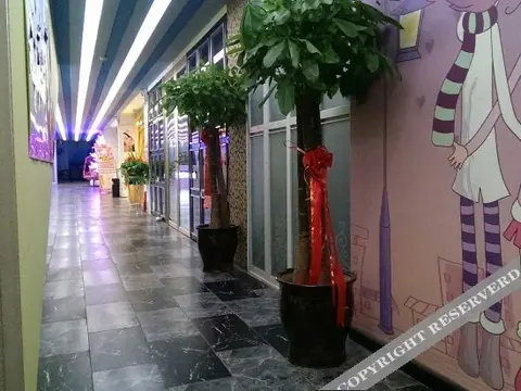 Люян: Youlemei Theme Hotel