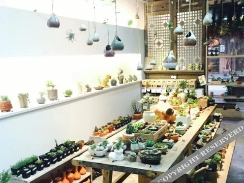 Чэнду: Yangliu's Yard