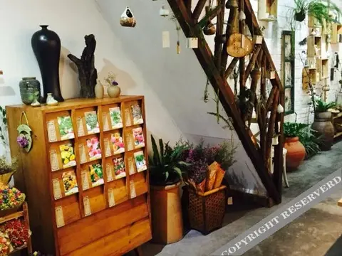 Чэнду: Yangliu's Yard