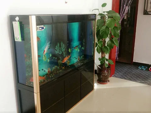 Цзиньчжун: Qiao Family Compound Rural Guesthouse