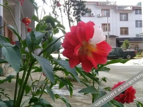 Шанграо: Sanqingshan Hongda Guest House