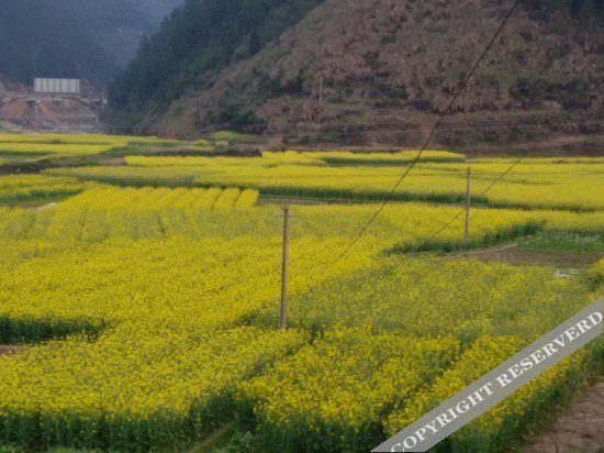 Шанграо: Sanqingshan Hongda Guest House