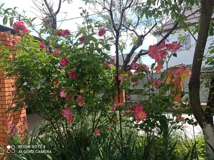 Джубга: Guest House Melodiya