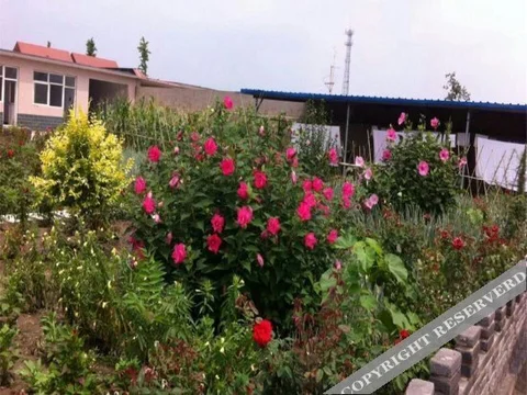 Таншань: Xiangyun Island Guest House