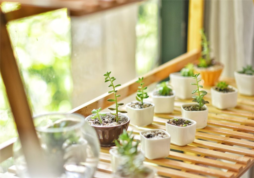Гуйлинь: Guilin La Flowers Hostel