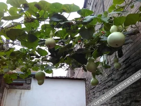 Цзиньчжун: Yilv Sunshine Inn