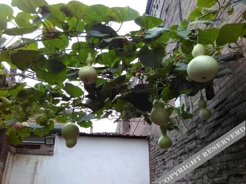 Цзиньчжун: Yilv Sunshine Inn