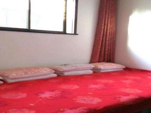 Цзиньчжун: Zixuan Homestay