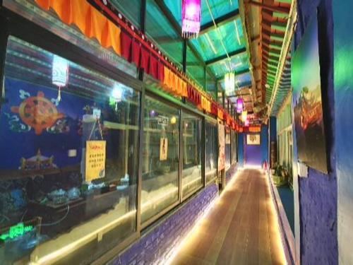Лхаса: Lhasa Na Li Hostel