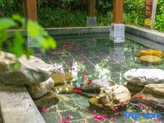 Сямынь: Kun City Resort & Spa