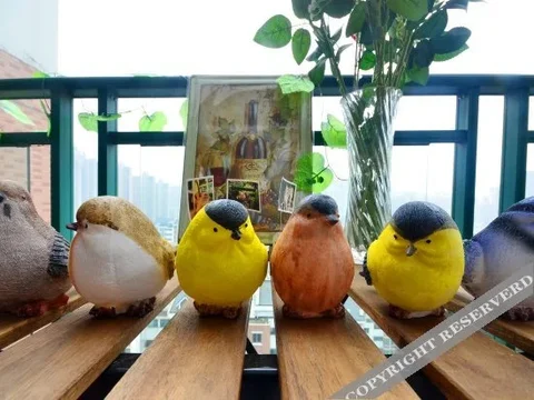 Ухань: Wuhan Guanggu Yiguigui Youth Hostel
