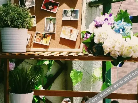 Ухань: Wuhan Guanggu Yiguigui Youth Hostel