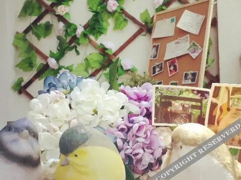 Ухань: Wuhan Guanggu Yiguigui Youth Hostel