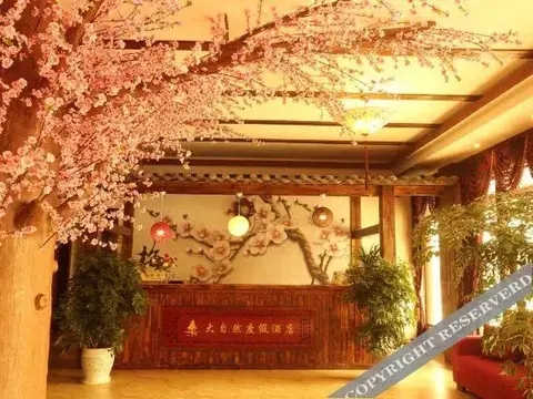 Чунцин: Nature Holiday Hotel