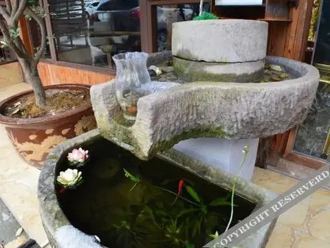 Чунцин: Nature Holiday Hotel