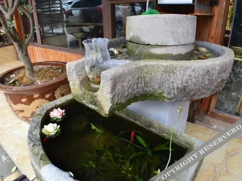 Чунцин: Nature Holiday Hotel