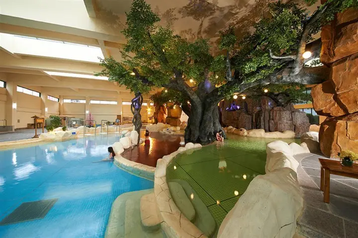 Пинсян: Howard Johnson Hot Spring Resort Wugongshan