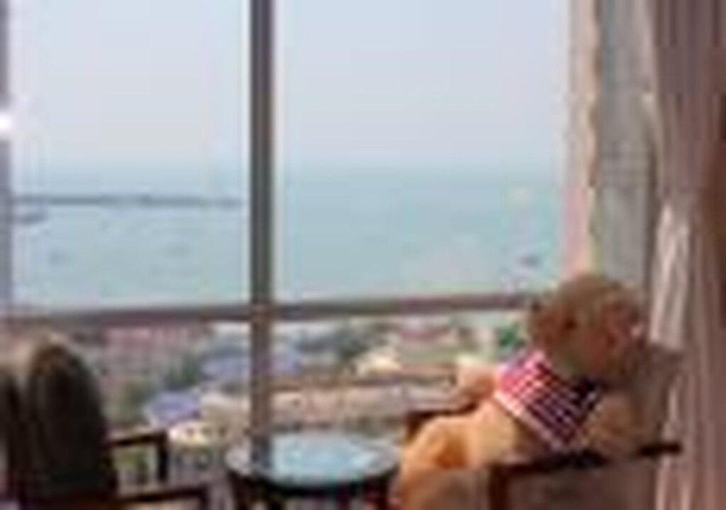 Циндао: QingDao JinShan We Holiday Apt Olympic C