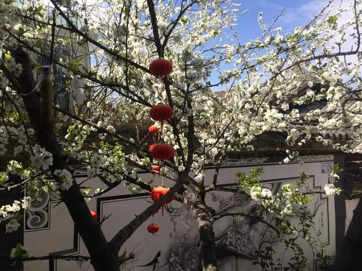 Лицзян: Lijiang Yuese Inn