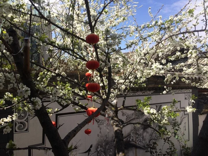 Лицзян: Lijiang Yuese Inn