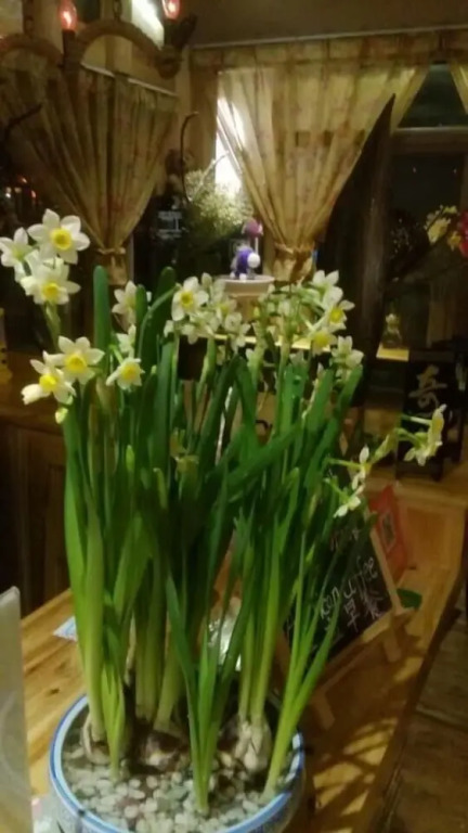 Чжаосин: Zhaoxing Ruyuan Family Inn