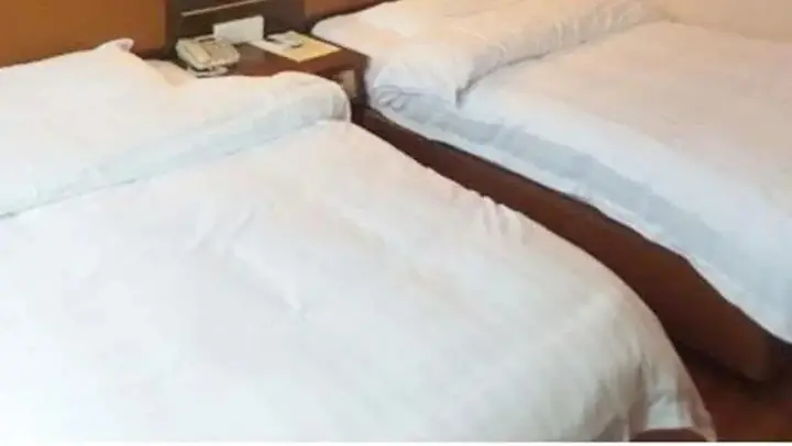 Наньпин: Wuyishan Olive Garden Hotel