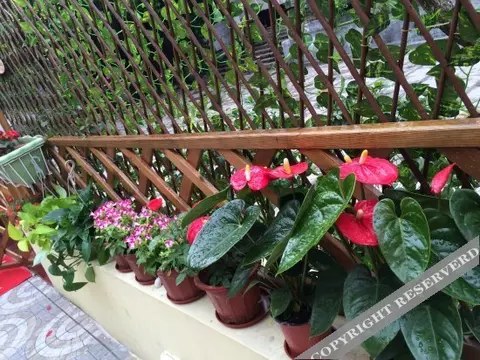 Шэньчжэнь: Sujin Inn