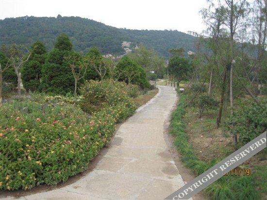 Чжоушань: Putuo Mount Pantuo Yuan