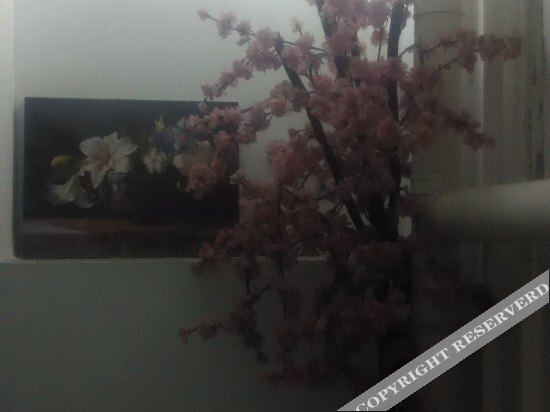 Циньхуандао: Shangteng Express Hotel