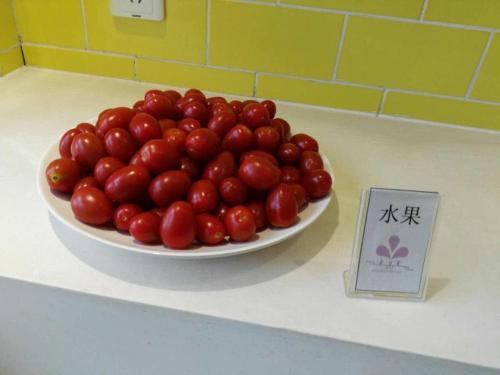 Нанкин: FX Hotel Nanjing Jiangning Zhushan Road