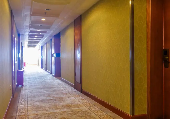 Шэньчжэнь: Vienna International Hotel Shenzhen Huanan City Store