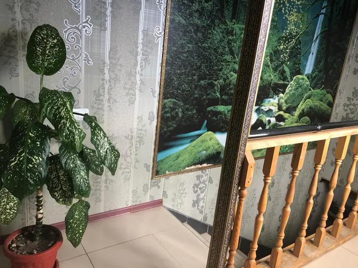 Армавир: Guest house