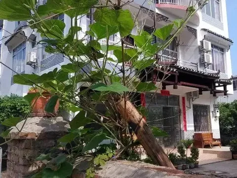 Яншо: Sifangyuan Hotel Yangshuo