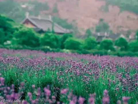 Уси: Ejea Hotel Shangmadun